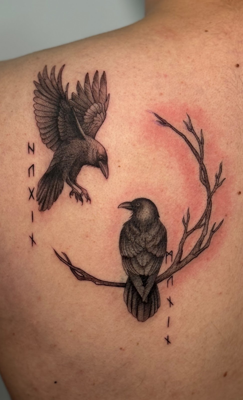 Huginn Muninn cuervos Odín — CAOS Art Tattoo