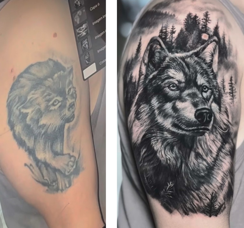 Cover-up tatuaje — lobo realismo, CAOS Art Tattoo Santiago